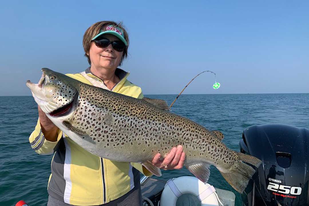 Donna Bricker brown trout