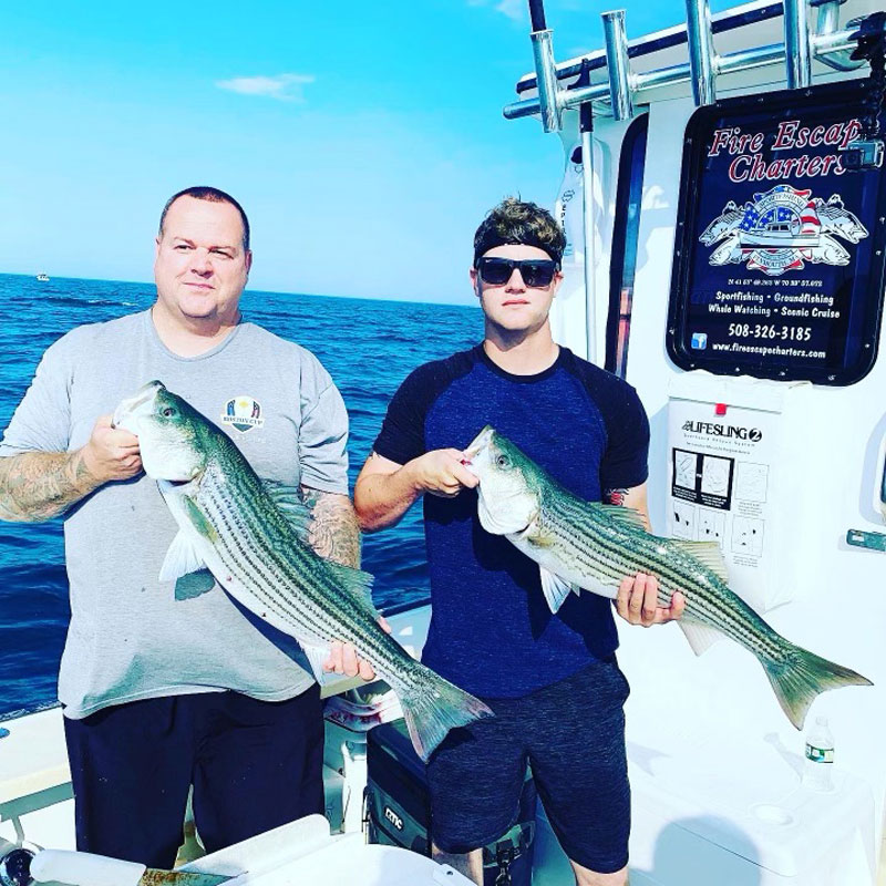 Fire Escape Charters striped bass