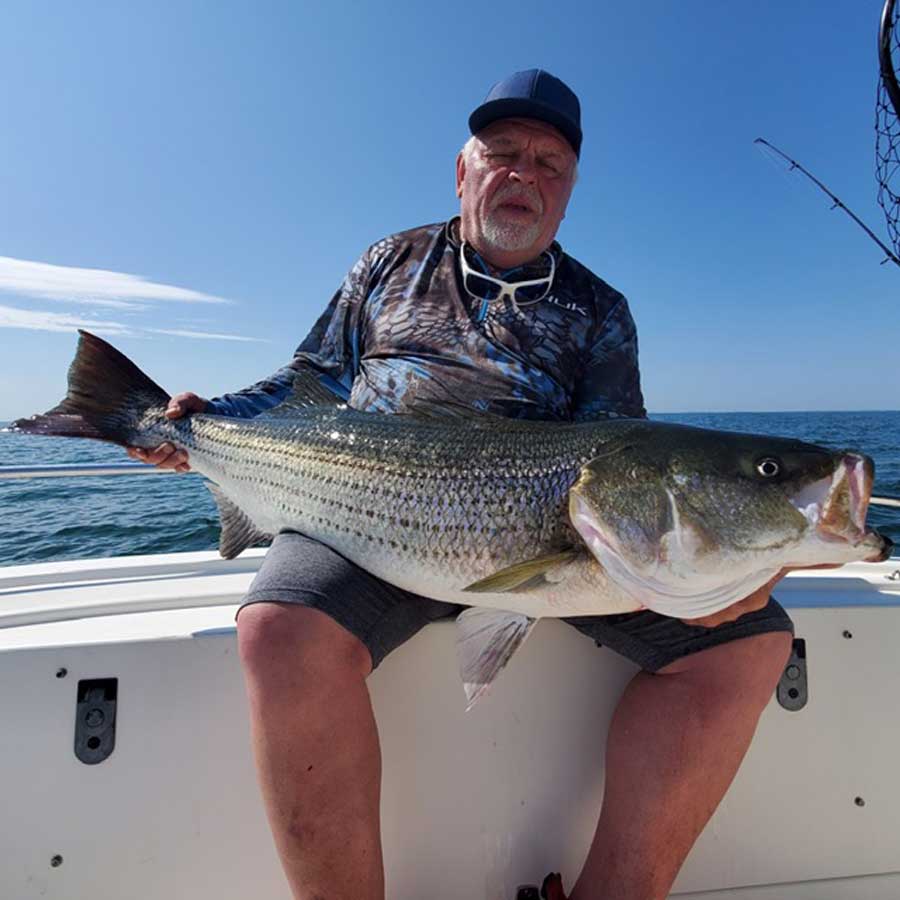 Stephen Borelli striped bass