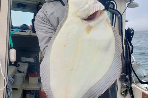 Greg Vespe Rhode Island