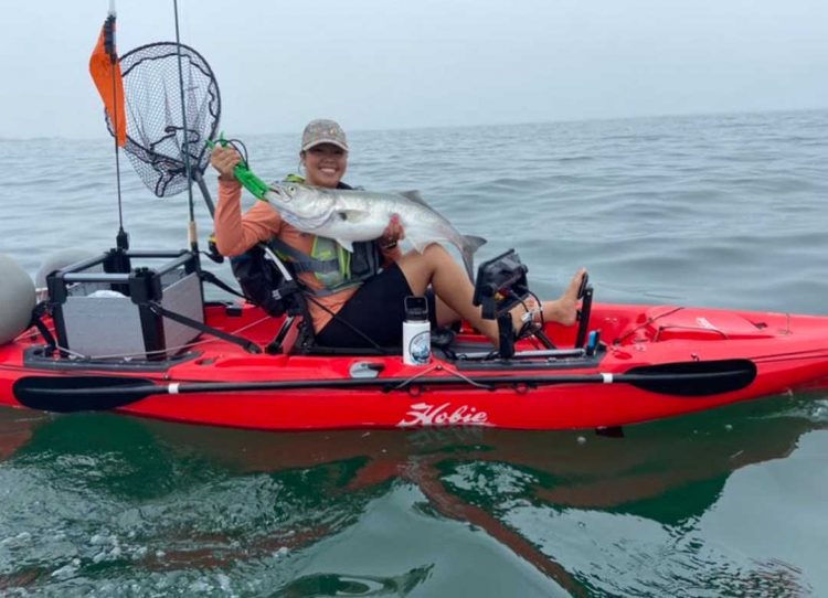 Jennifer Stevens bluefish