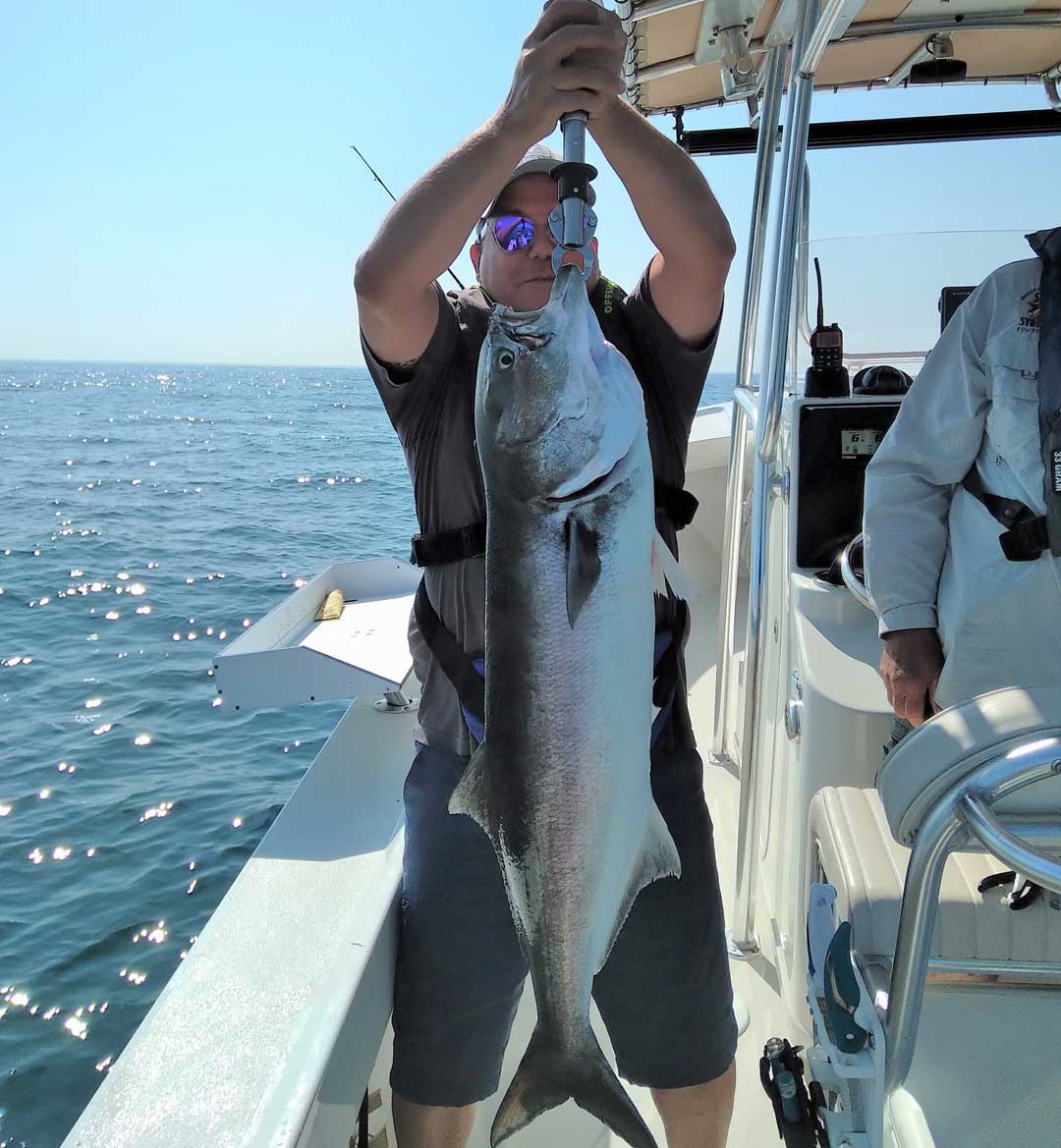 John O&rsquo;Keefe bluefish