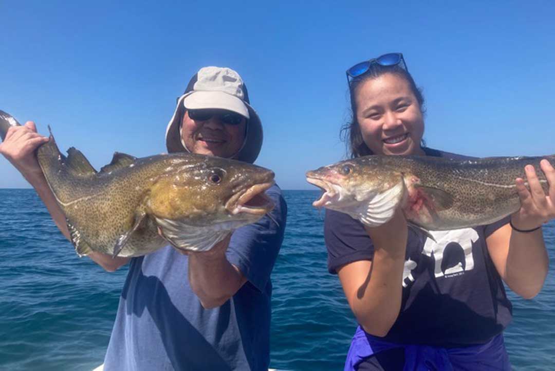 Little Sister Charters cod