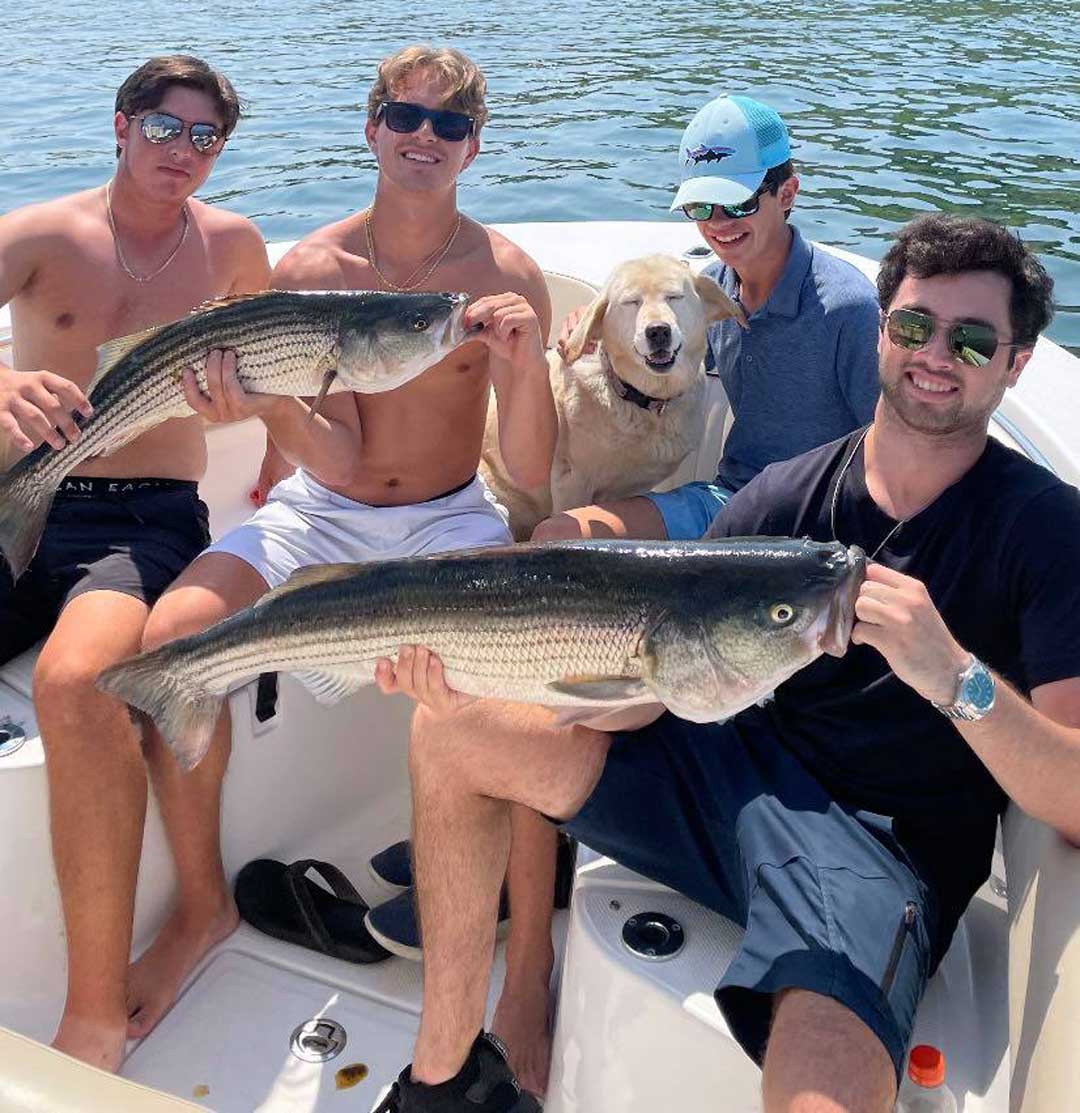striper group with happy pooch