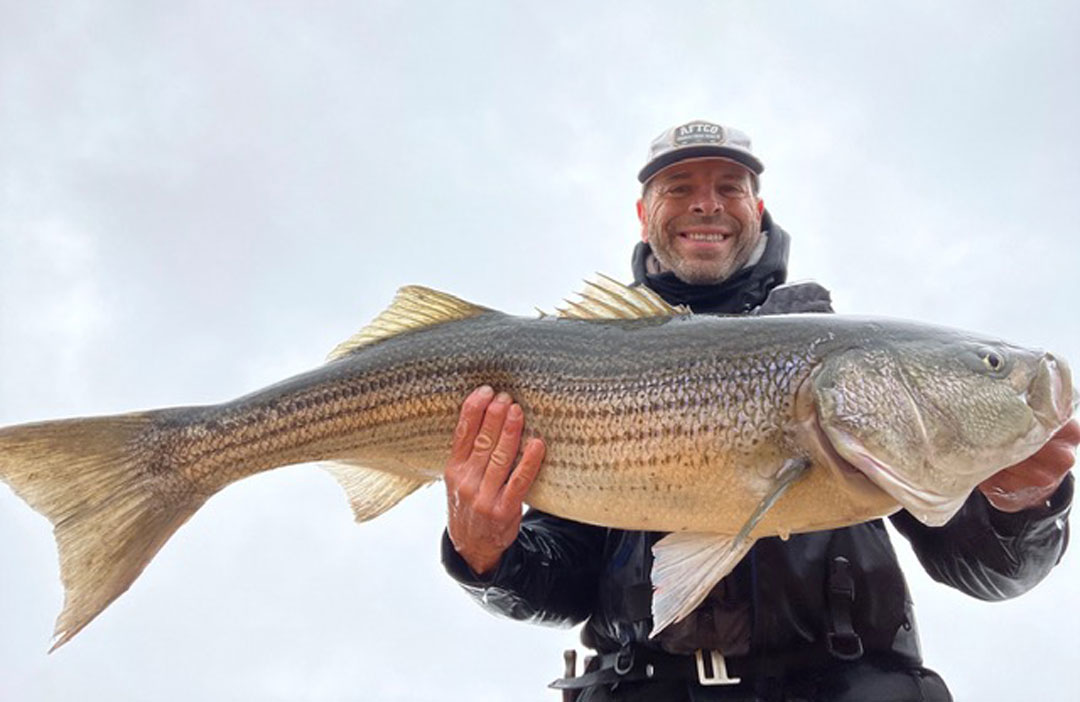 Boston striped bass