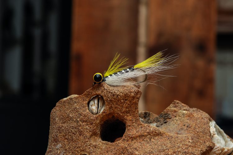 Arctic Black Ghost Fly