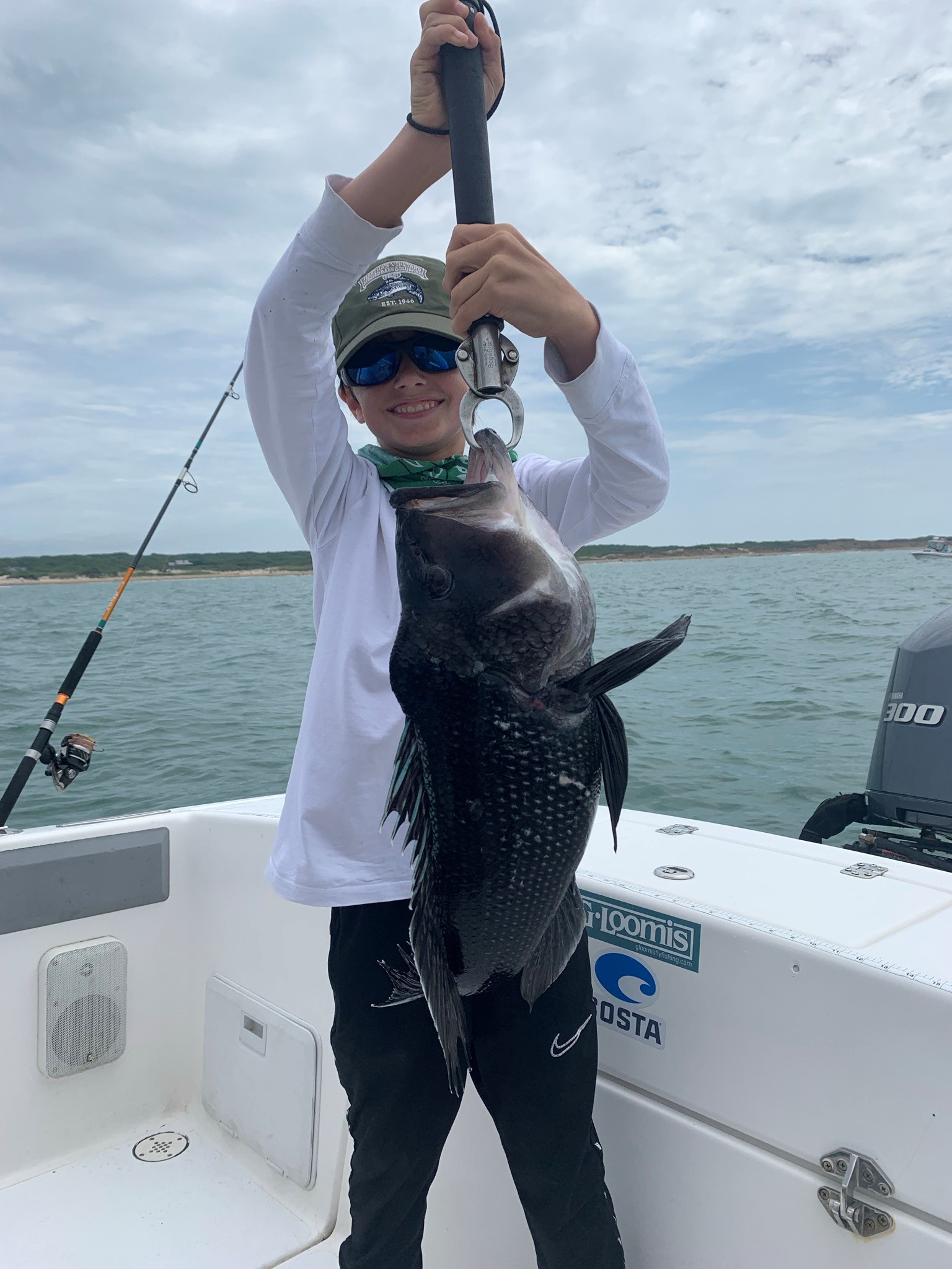 Nico 6 Pound Black Sea Bass