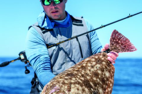 The Anatomy of a Fluke Jig