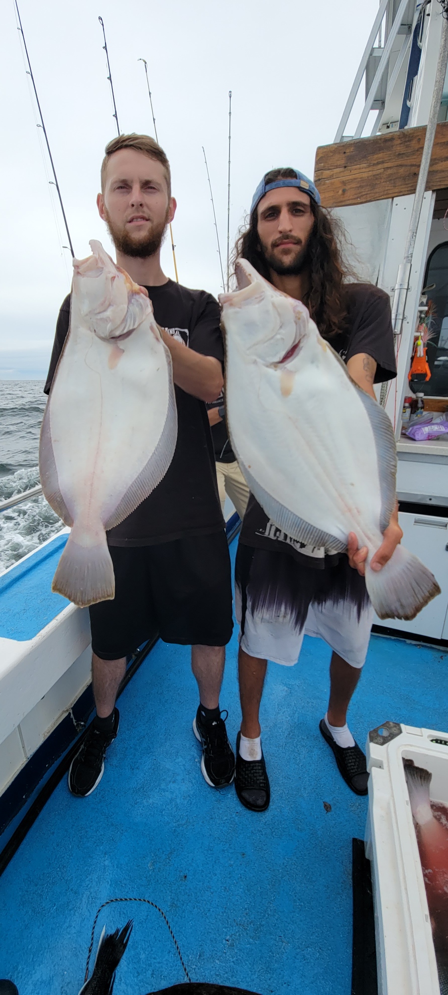 Fluke Gypsea Charters