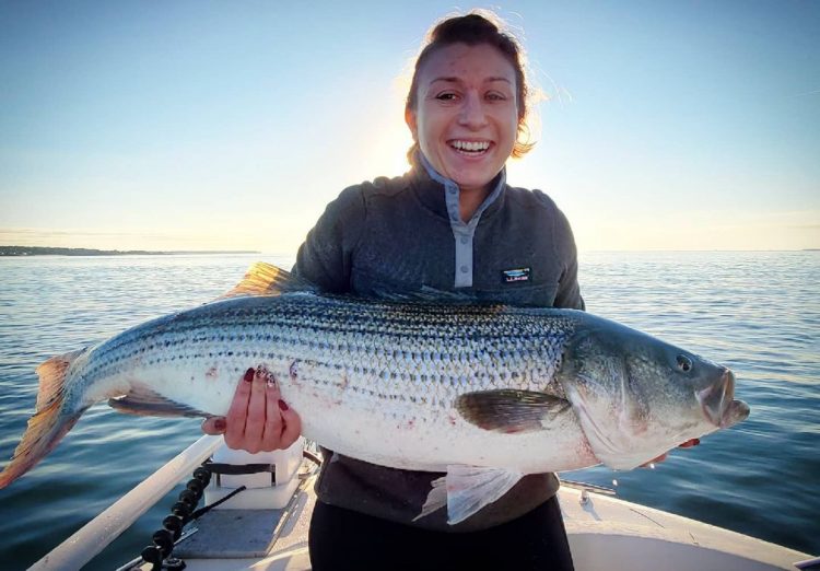 Striped Bass Joe Diorio Guide Service