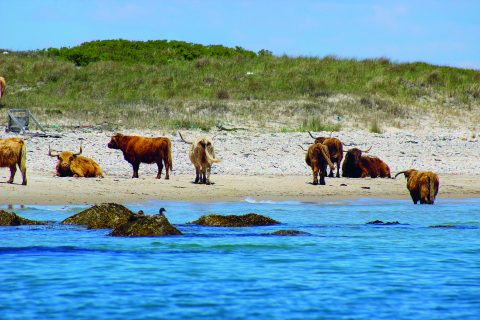 October Fishing Along the Elizabeth Islands