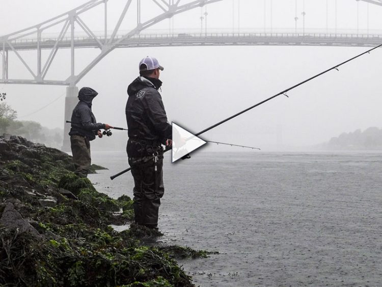 Striper Season Update