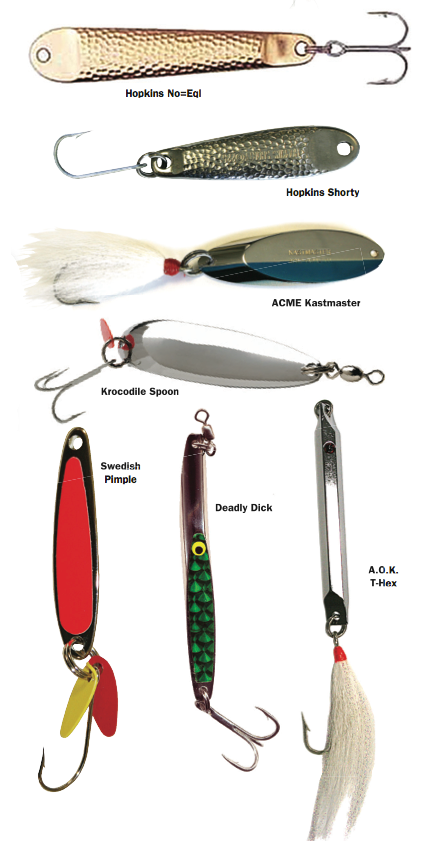Shore fishing for salmon - Fall fishing with artificial baits 
