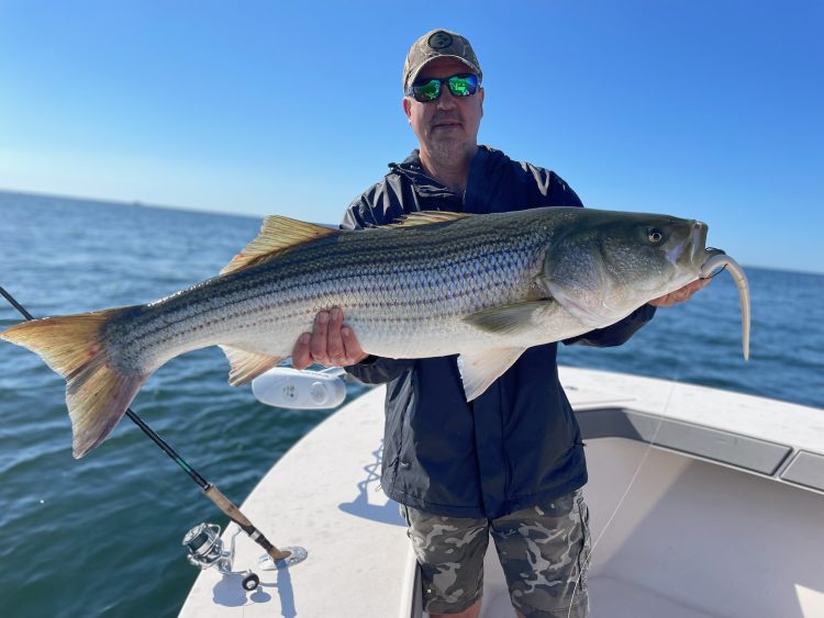 John Migliori Bluefish