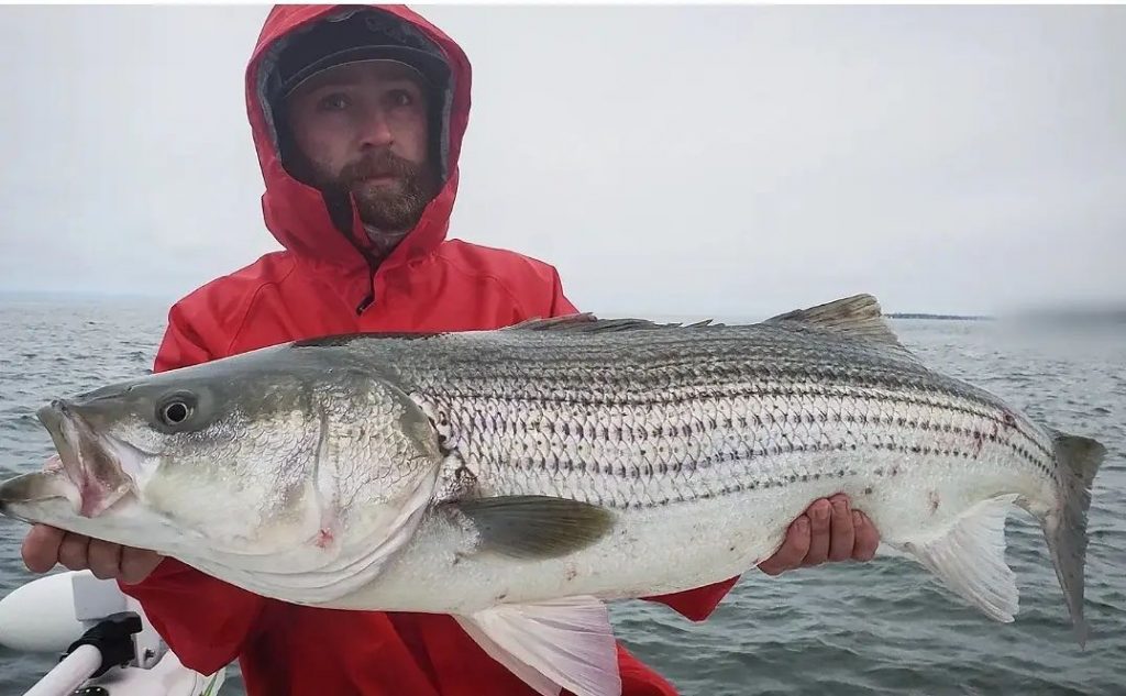 Connecticut Fishing Report October 7, 2021 On The Water