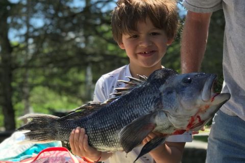 Massachusetts Saltwater Fishing Derby