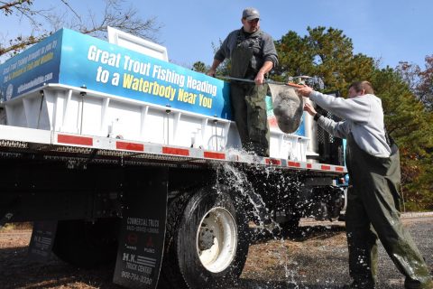NJ Trout Stocking