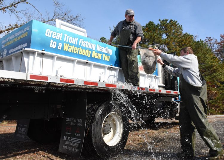 NJ Trout Stocking