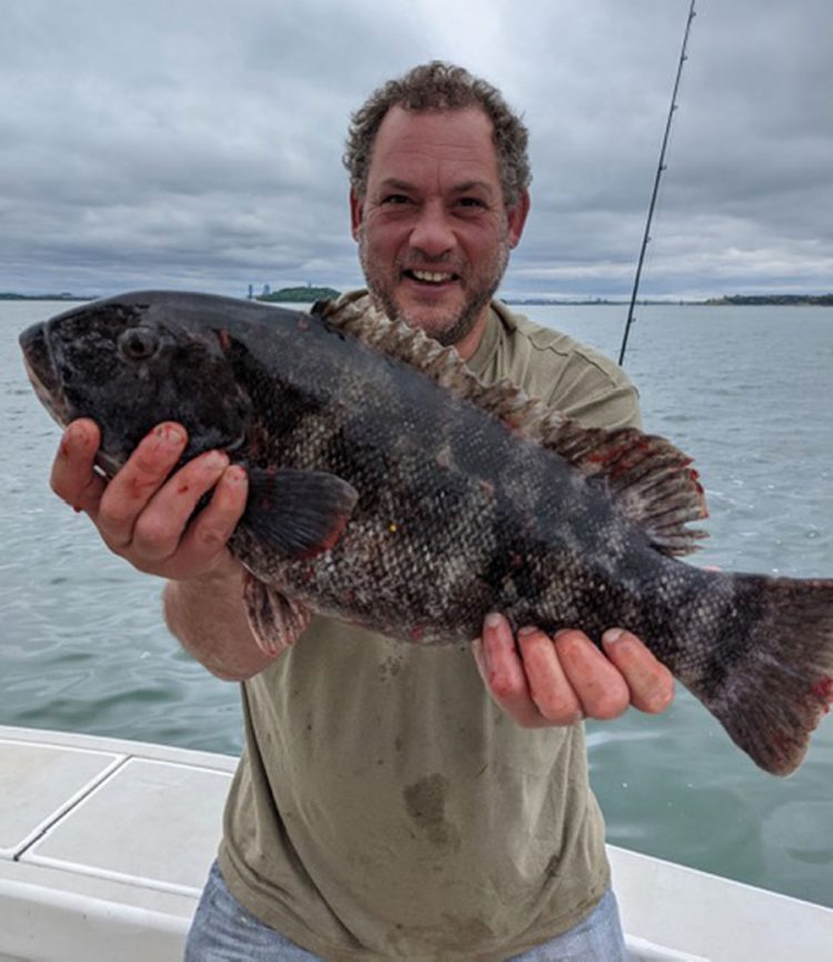 tautog