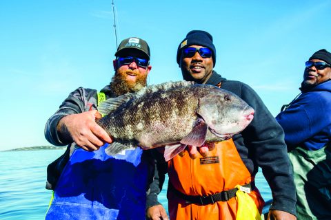 Tautog Fishing State by State