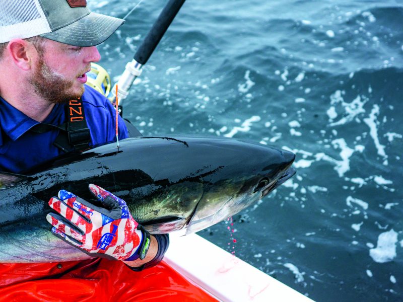 Get Involved in Tuna Tagging - On The Water