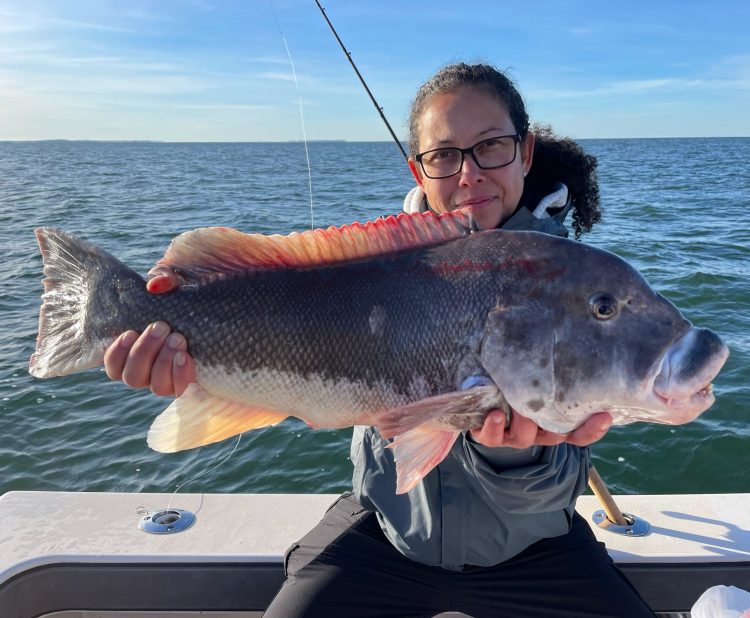 Tautog