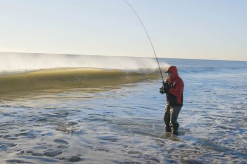 January Surfcasting