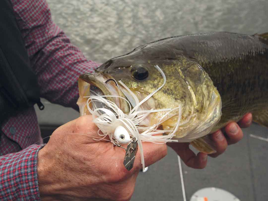 Swim Jigs: Everything You Need To Know For Summer Bass Fishing