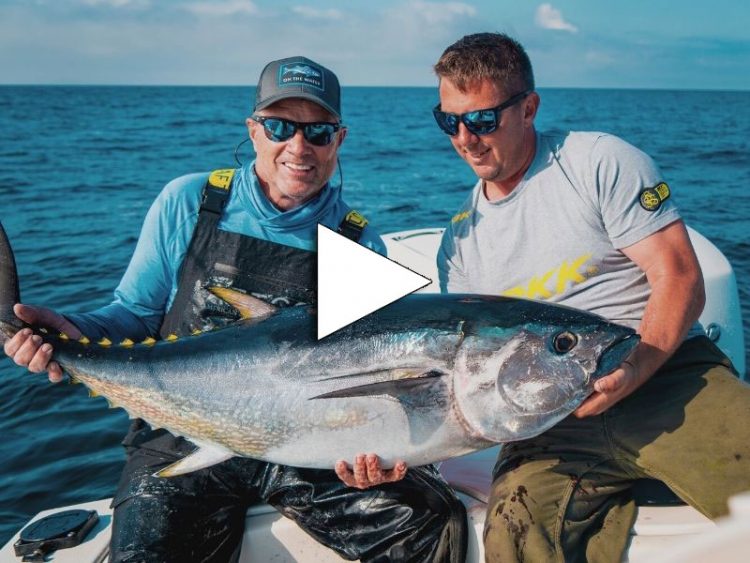 Bluefin Tuna Obsession