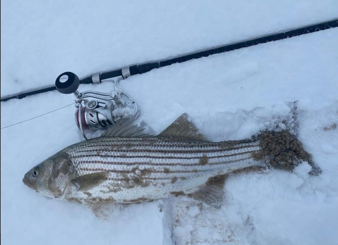 New Jersey Fishing Report January 13, 2022 On The Water