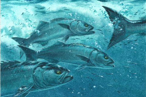 Angling Artist: John Rice