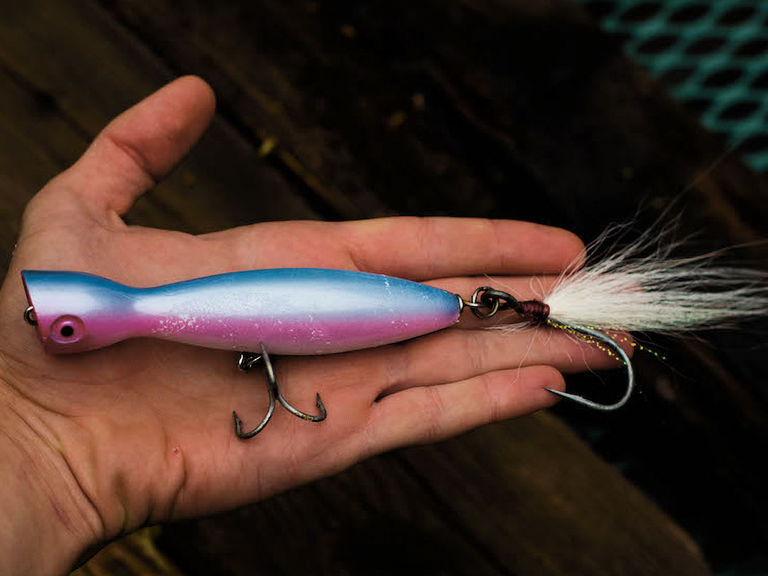 Fall Means Topwater Lure Fishing Time - Saltwater Angler