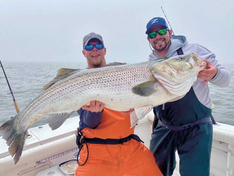 Seth and Lee Wakefield with big striped bass