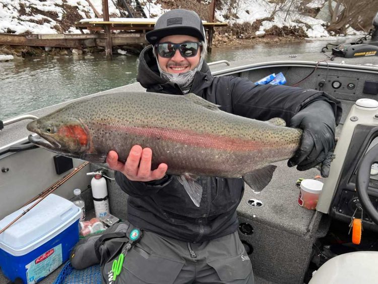 Danny Colville steelhead