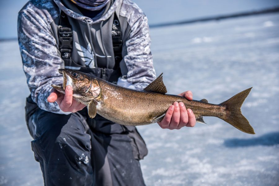 Ice Fishing for Sebago Lake Trout On The Water