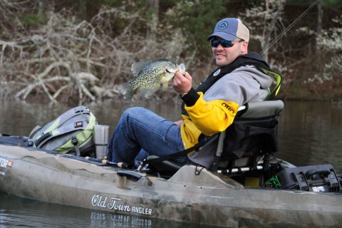 crappie pulled from fallen trees
