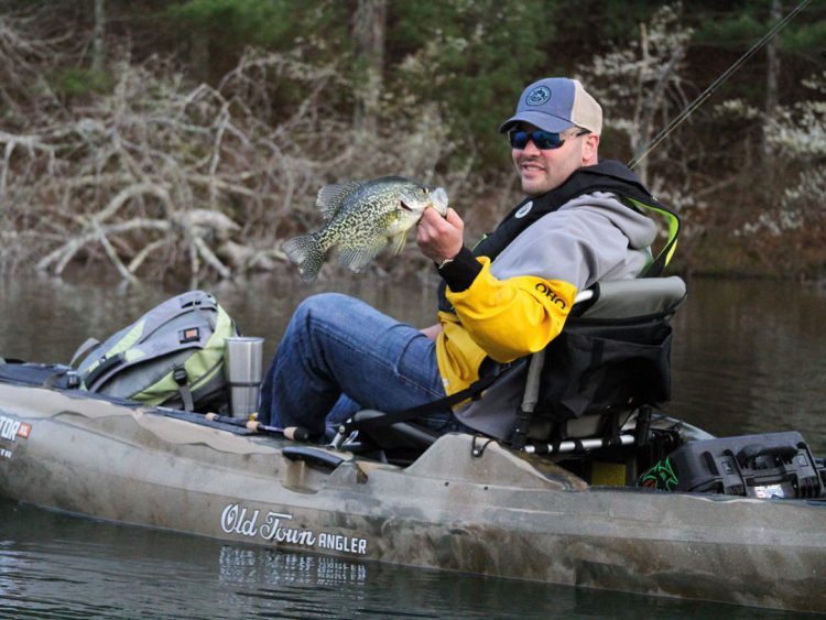 crappie pulled from fallen trees