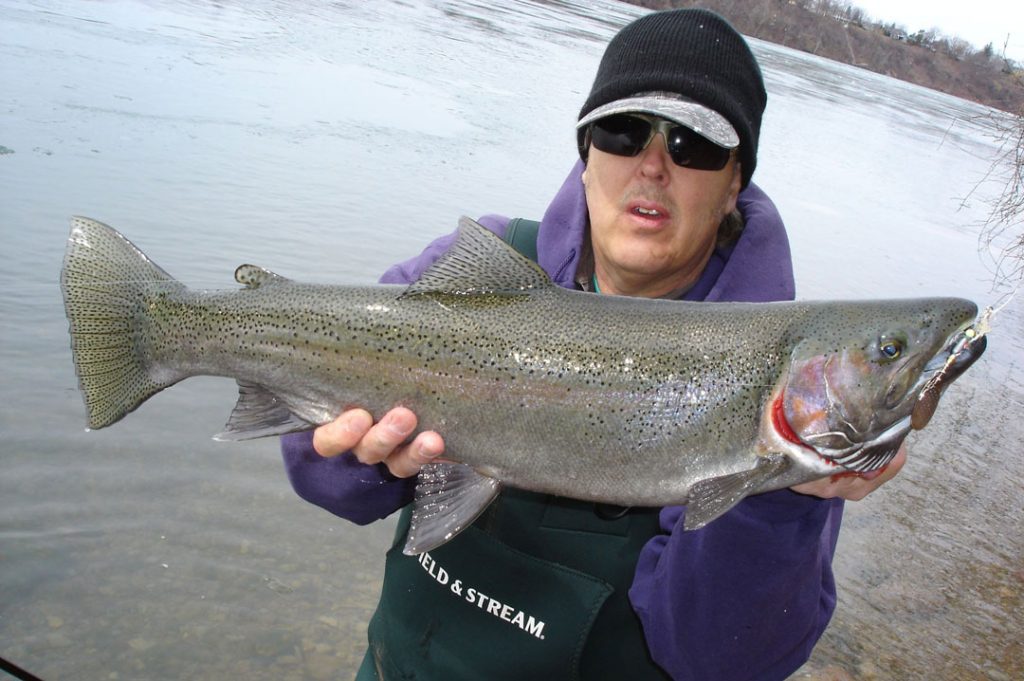 Mike Rzucidlo steelhead
