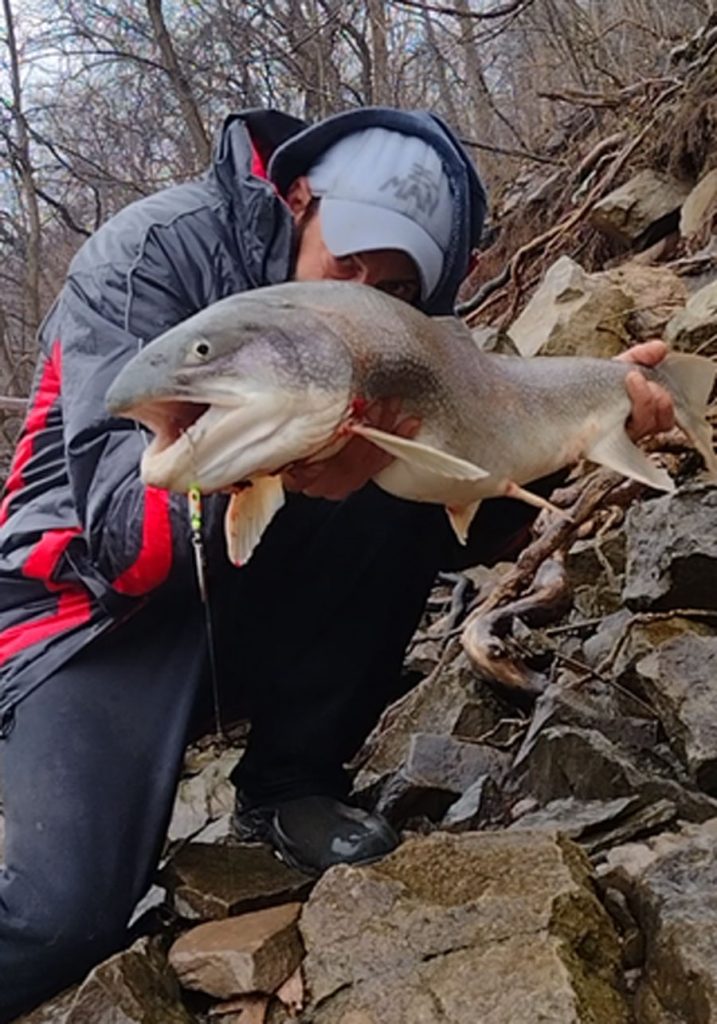Mike Ziehm lake trout