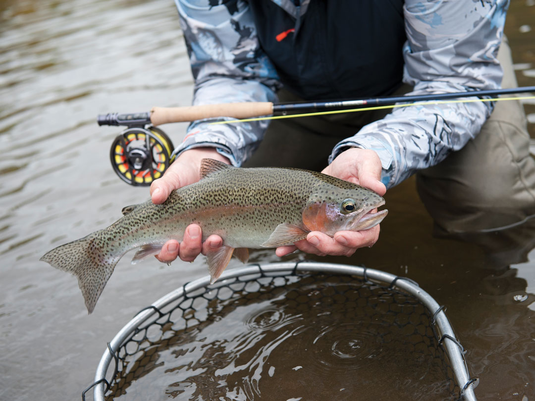 Guide Tactics for Tough Trout: Nymphing - On The Water