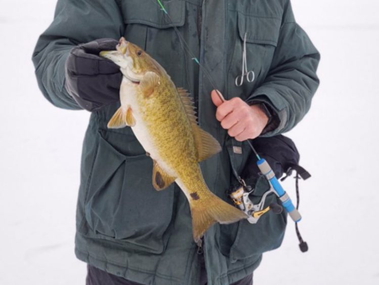 smallmouth on ice