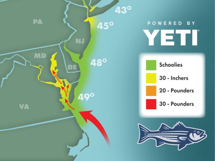 Striper Migration Map 2022-4-1
