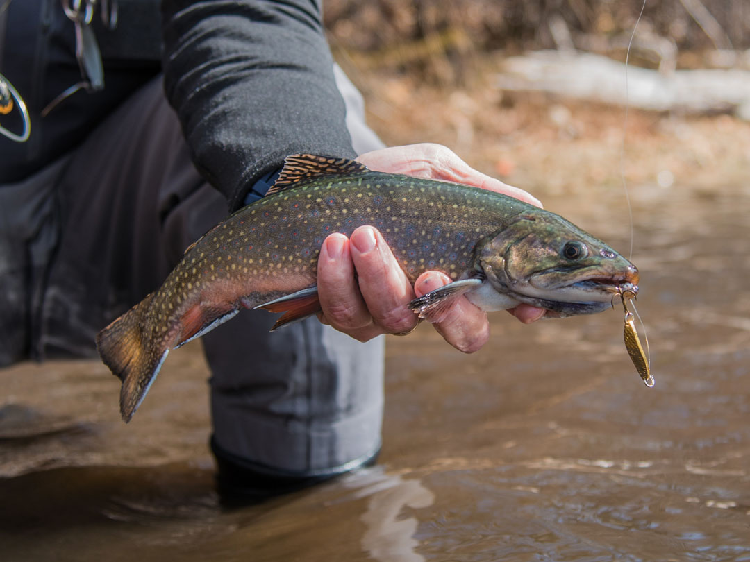 How To Hold A Trout For Photos (Trout Photo Tips) - Fly Fishing Fix