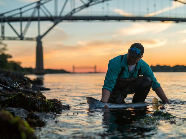 Cape Cod Canal sunset striper