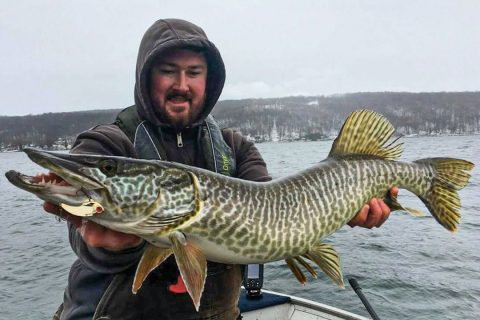 musky on blade bait