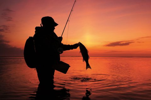 Barnegat Bay sunset striper