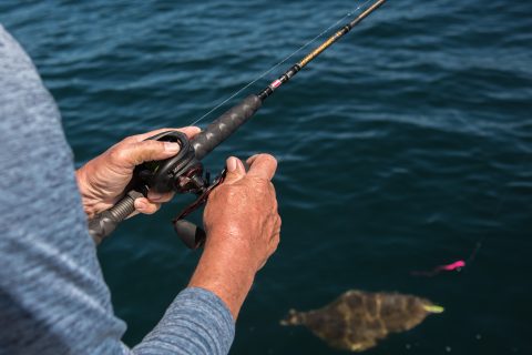 Our Favorite Gear from Season 19 of OTW TV