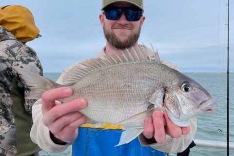One of the Northeast&rsquo;s Most Abundant Bottom Fish gets Rebranded