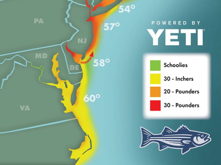 Striper Migration Map 2022-5-13