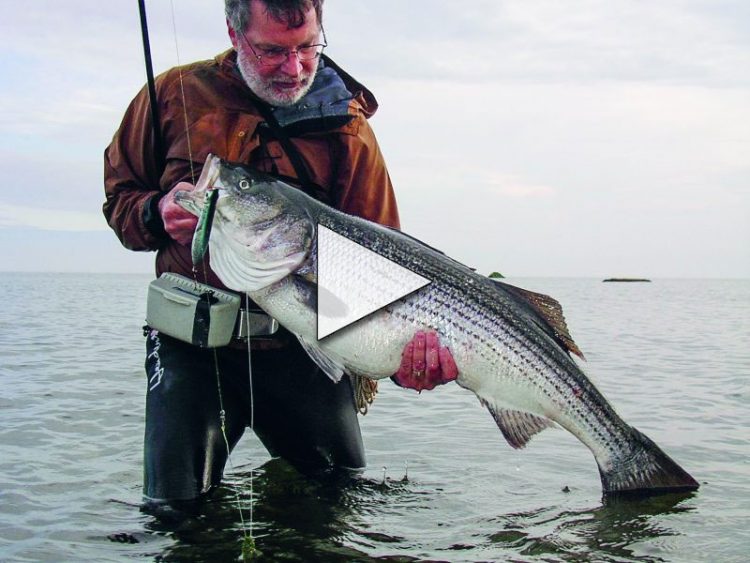 Stripers on Bucktails with John Skinner